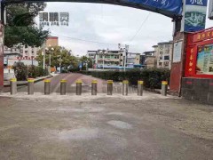 湖北半自动升降路桩 湖北路桩厂家 阻车路桩批发 路桩价格图2